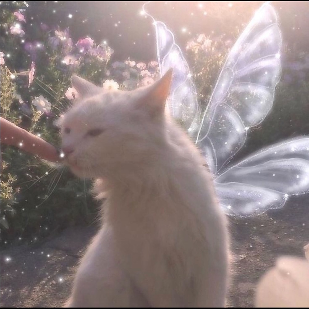 Meet your Posher, Lo